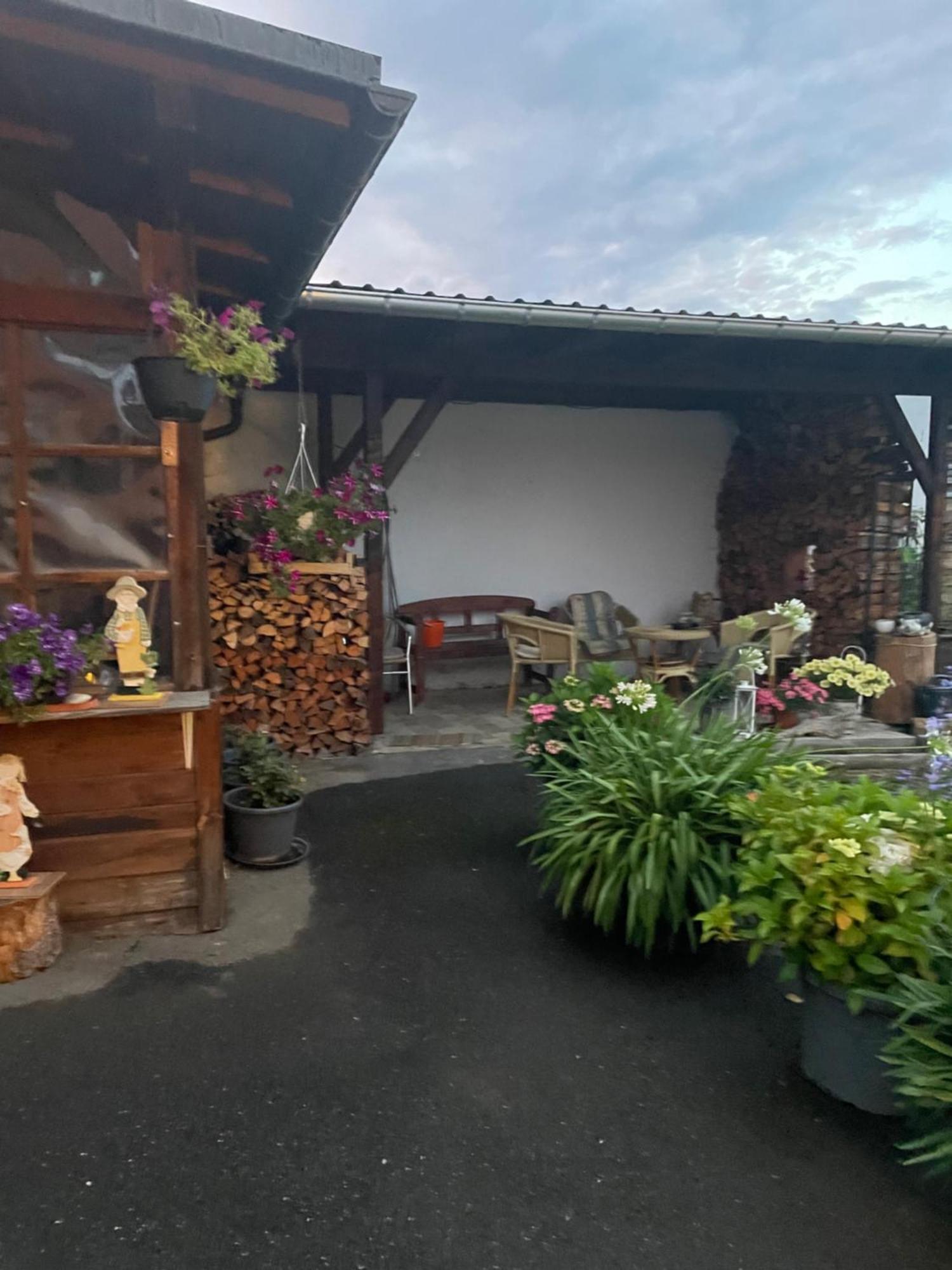 Ferienwohnung Greifenbach, Gartennutzung, Haustiere Willkommen Geyer Exterior photo