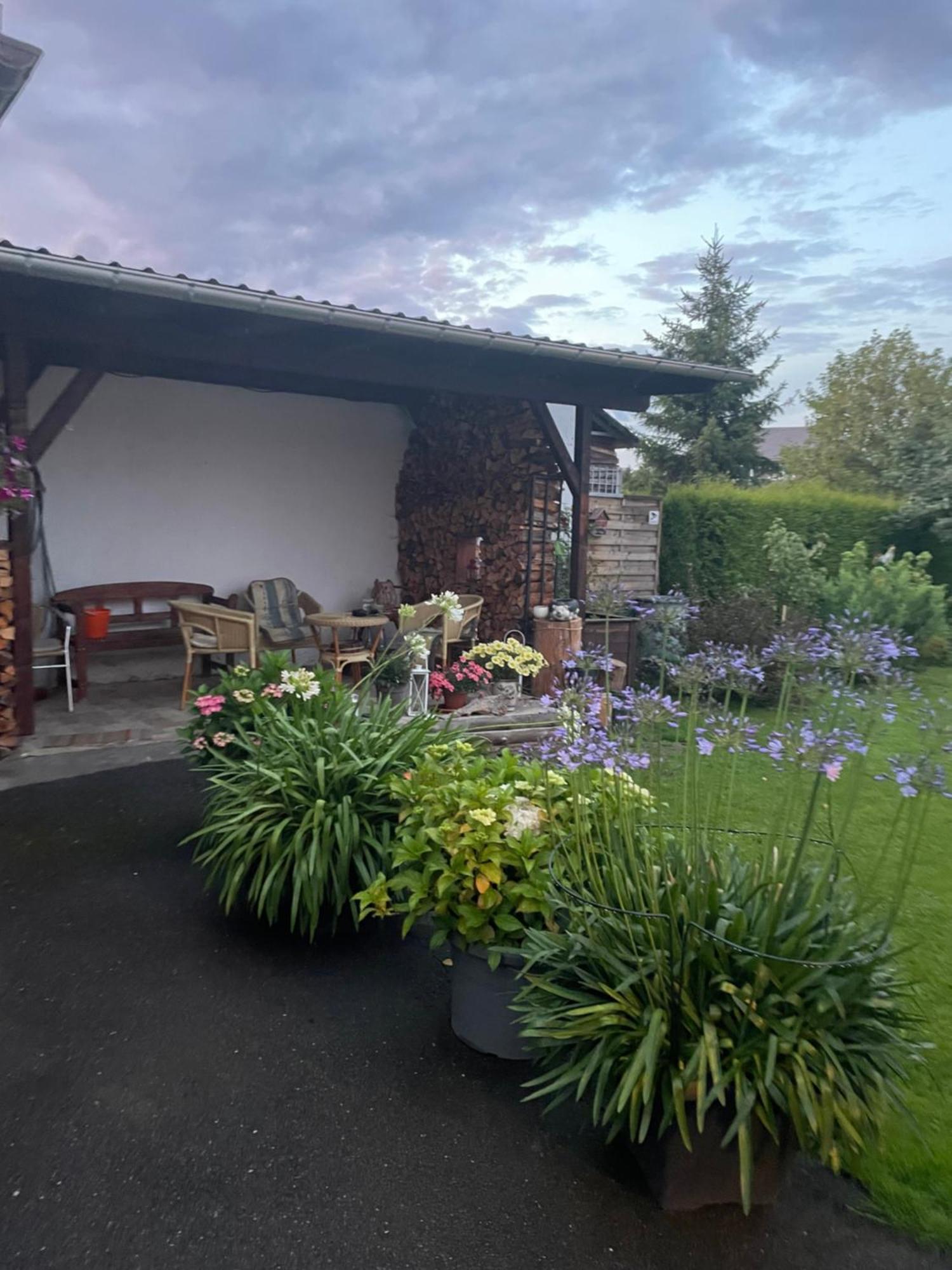 Ferienwohnung Greifenbach, Gartennutzung, Haustiere Willkommen Geyer Exterior photo