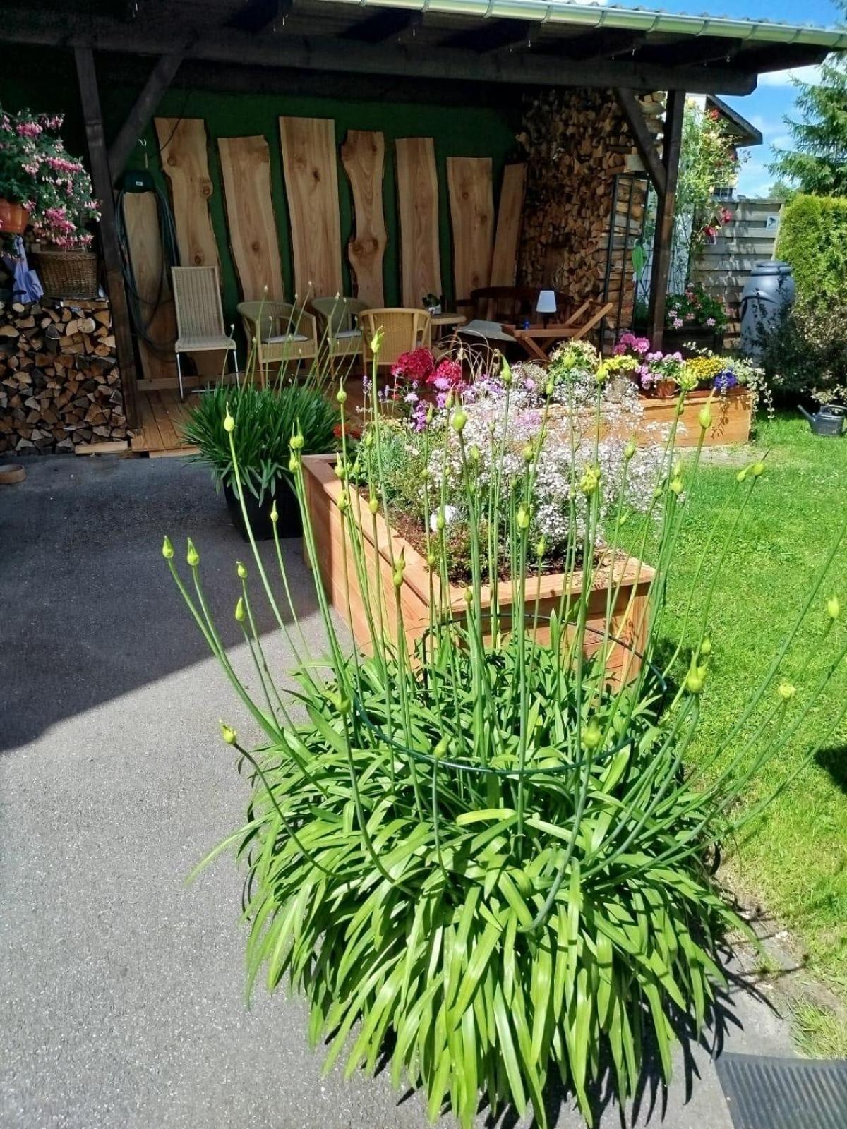 Ferienwohnung Greifenbach, Gartennutzung, Haustiere Willkommen Geyer Exterior photo